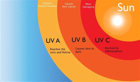 5 huge impacts from UV rays on the environment