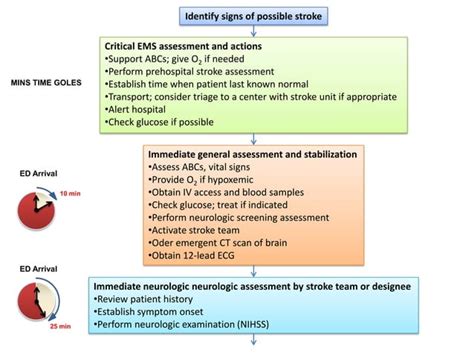 Aha Asa Guidelines For Ischemic Stroke Ppt