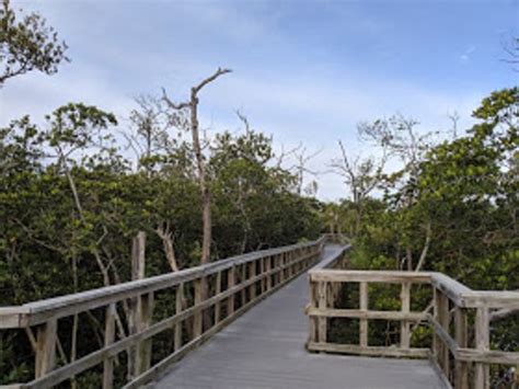 Indian Rocks Beach Nature Preserve All You Need To Know Before You Go Updated 2020 Fl