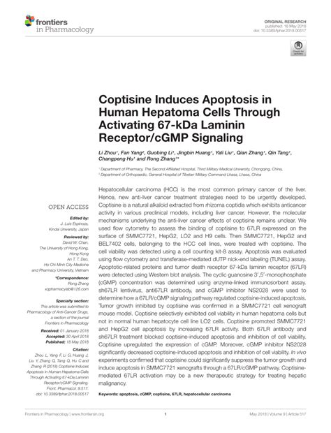 Pdf Coptisine Induces Apoptosis In Human Hepatoma Cells Through