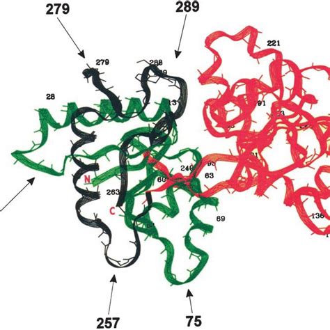 Candidate Insertion Sites For The Hiv Protease Cleavage Site