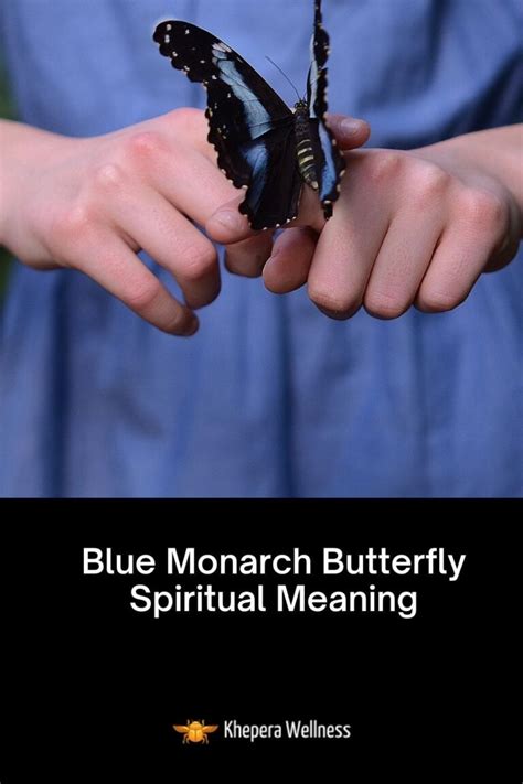 Blue Monarch Butterfly Spiritual Meaning Khepera Wellness