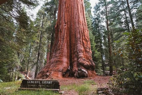 Guía para visitar el Parque Nacional de Kings Canyon Llegar sin avisar