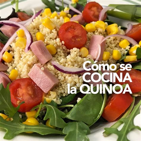 C Mo Se Prepara La Quinoa En La Cocina Divina Cocina