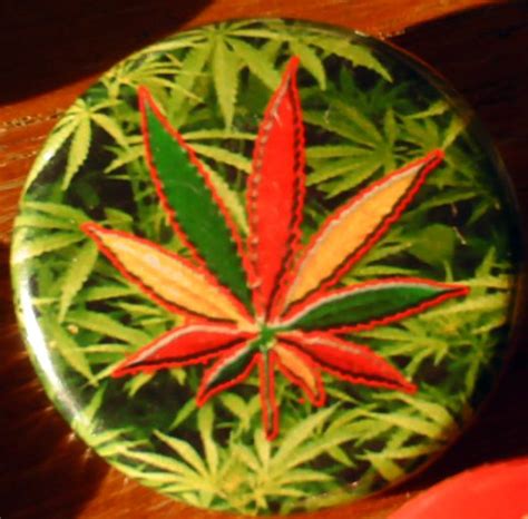 1 RASTA LEAF W/ GANJA GARDEN BACKGROUND pinback button badge 1.25"