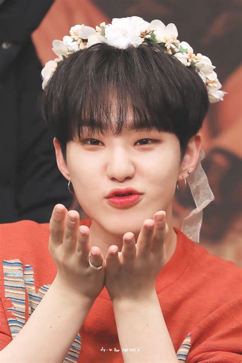 Pin By ς˃̵ᗜ˂̵· On Seventeen 2019 Hoshi Seventeen Hoshi Seventeen