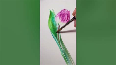 Shorts Botanical Art 보태니컬 아트튤립그리기 수채 색연필 물처리painting Tulip Youtube