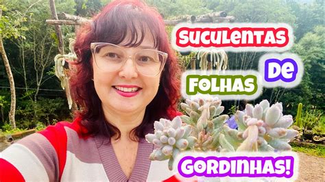 Mais De Suculentas De Folhas Gordinhas Cultivadas No Tempo Youtube