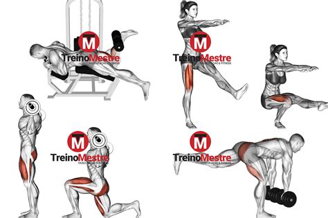 Treinos De Gl Teos Completos Para Hipertrofia Do Bumbum