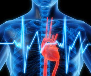 Cardiac Markers - Types Indications Cardiac Marker genes Research