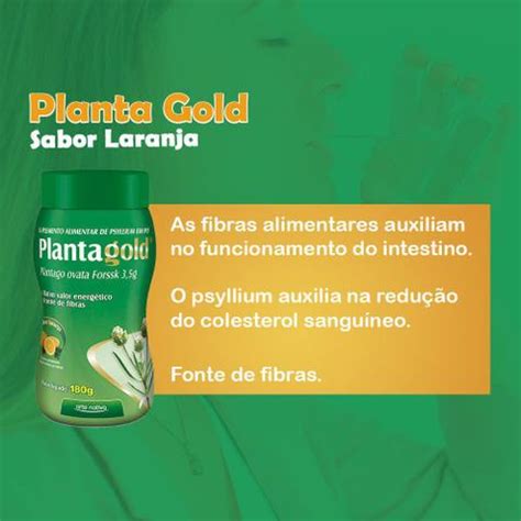 Planta Gold Plantago Ovata Rico Em Fibras Que Ajudam Regular Seu