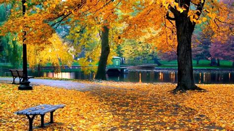 Vivaldi Autumn (Full HD) Classical music - YouTube