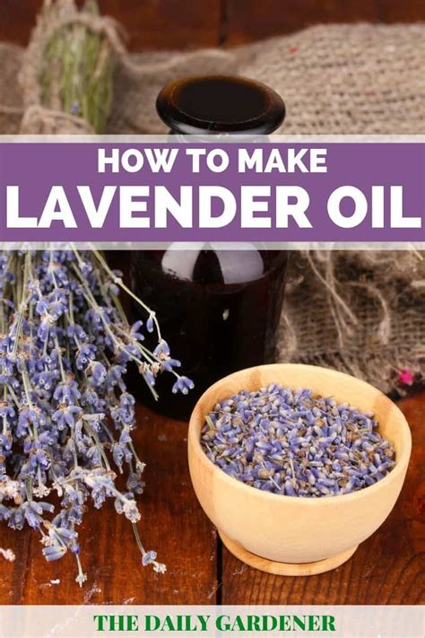 How To Make Lavender Oil 2 Methods Lavender Oil Recipes Homemade Essential Oils Making