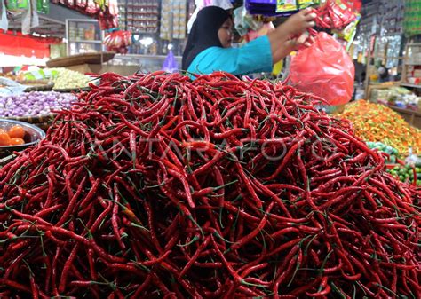 HARGA CABAI MERAH NAIK JELANG NATAL DAN TAHUN BARU DI TERNATE ANTARA Foto