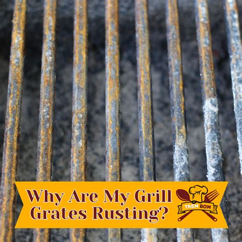 Preventing Rust On Grill Grates Ultimate Guide For Cast Iron Maintenance