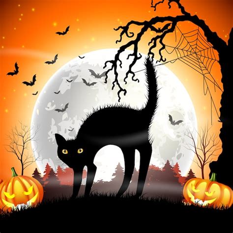 Gato preto assombrado abóbora halloween na lua cheia Vetor Premium