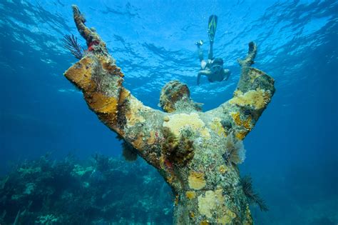 Trilogy Dive Center Key Largo Scuba Trips