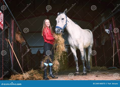 Snacking On Some A Grade Hay Shot Of A Teenage Girl Feeding Her Horse