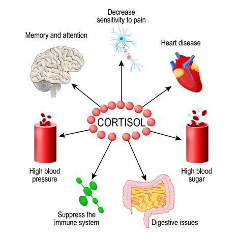 7a3 Stress – HumanBio