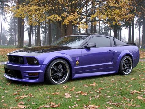 Pin By Malissa Graham Vanderveer On Born To Be Wild Purple Mustang