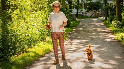 Zoetermeers Dagblad Haagse Oppashonden Zijn Klaar Voor De Lente