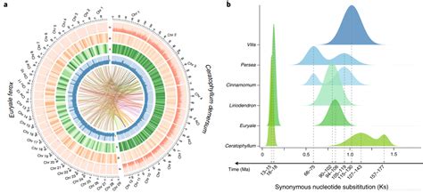 比较基因组学分析（comparative Genomics Analysis） 比较基因组分析 Csdn博客