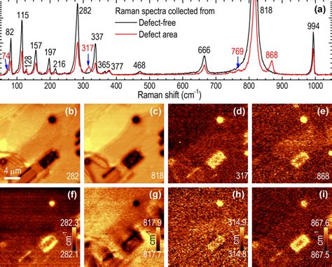 Raman Spectra And Mappings Collected From The α Moo3 Crystal On