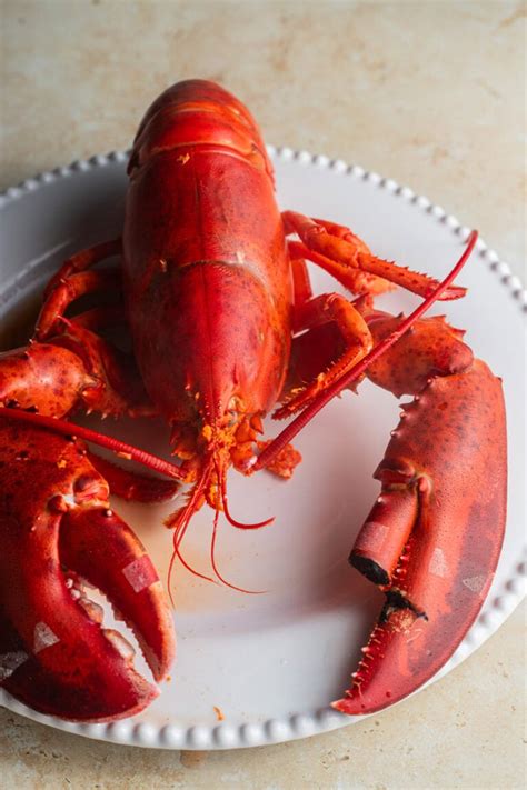 How To Boil Lobster Classic Maine Lobster Recipe Home Cooking Collective