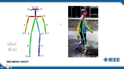 Pedestrian Skeleton Tracking Using Openpose And Probabilistic