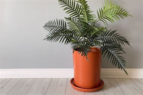 Odka Sİlİndİr Saksi Kİremİt 30 Cm Fİyati Vivense