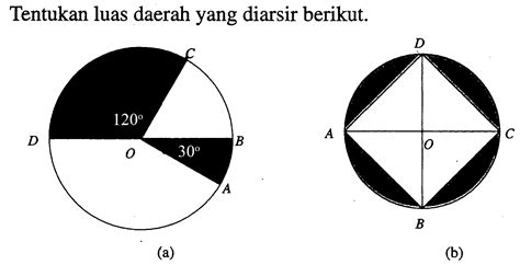 Kumpulan Contoh Soal Lingkaran Matematika Kelas 11 Colearn