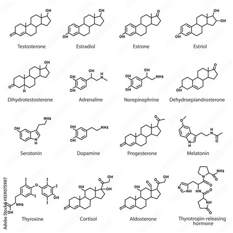 Hormones Chemical Structures Set The Hormone Of Internal Secretion