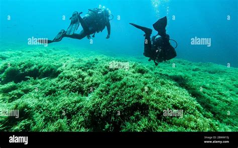 Scuba diving, diving, shipwreck Stock Photo - Alamy