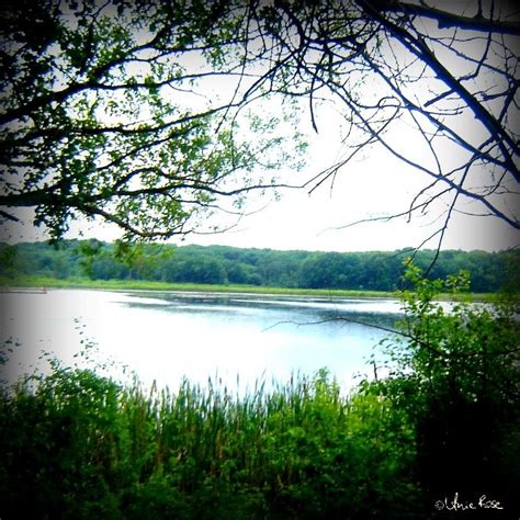 Chain O Lakes State Park Il Prairie Restoration At Chain O Lakes