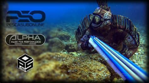 Spearfishing Open Cell Wetsuits Alpha Professional Spearfishers Choice