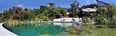 Natural Pools Nz Eco Friendly Natural Swimming Pools Free Of Chemicals