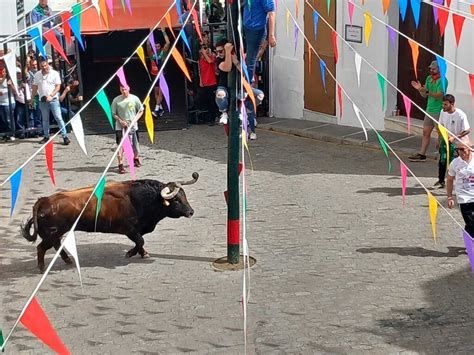 Im Genes De La Fiesta Del Toro Embolao En Vejer