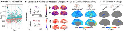 Sex Differences In Functional Connectivity At Age 14 F C 14 And