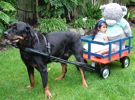 Dog Pulled Wagon - Petlovers NZ Ltd