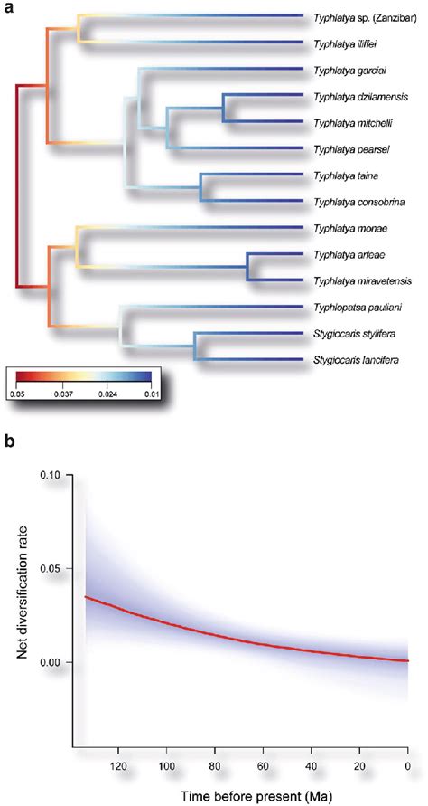 A Ultrametric Tree Showing Speciation Rates Cool Colours Slow