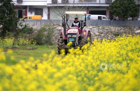 江西永丰：田间春耕忙 视觉江西 大江网首页