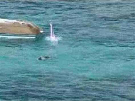 Brand: BMO • Ads of the World™ | Part of The Clio Network