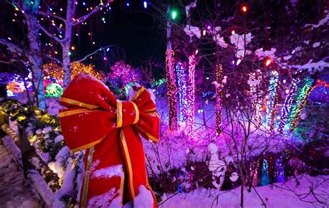 Blossoms Of Light Denver Botanic Gardens