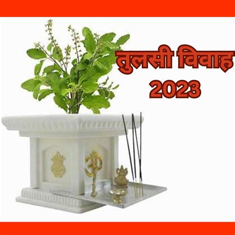 Tulsi Vivah 2023 तुलसी विवाह पर करें ये आसान उपाए शादी शुदा जीवन में बनी रहेंगी खुशियां Apne