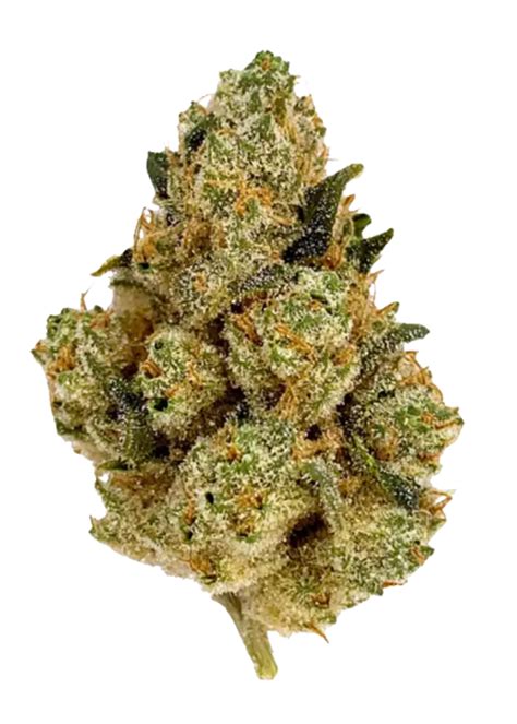 Jet Fuel Cannabis Strain Information - GrowDiaries