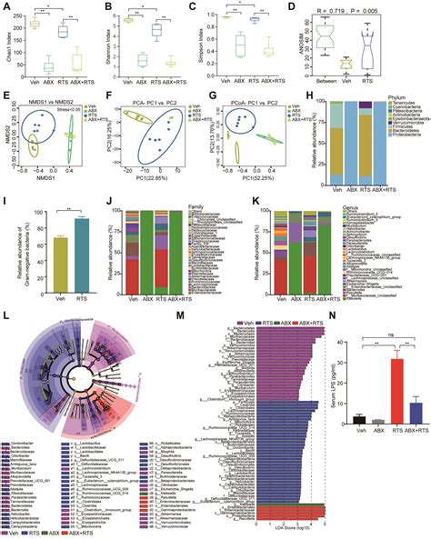 Retrorsine Cooperates With Gut Microbiota To Promote Hepatic Sinusoidal