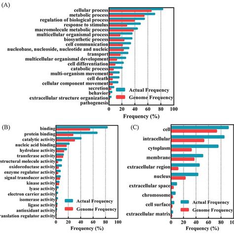 Functional Classification Of Differentially Expressed Proteins In 3