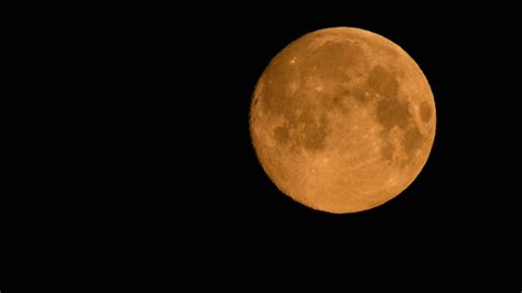 Pink Moon On Tuesday Night Will Be Largest Supermoon Of The Year