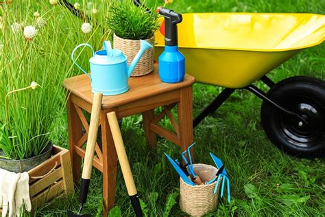 The 6 Best Gardening Seats For Elderly [2024 Reviews]