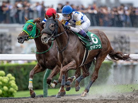 【jra・win5】本日のwin5は的中208票、配当202万9470円 競馬ニュース Netkeiba